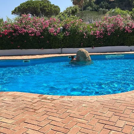 Edith Villa Parghelia